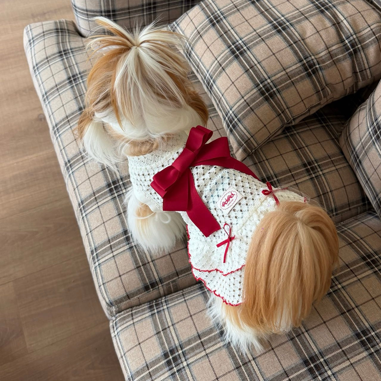 RoiRoi Crimson Ribbon Lace-Ruffle Pet Dress