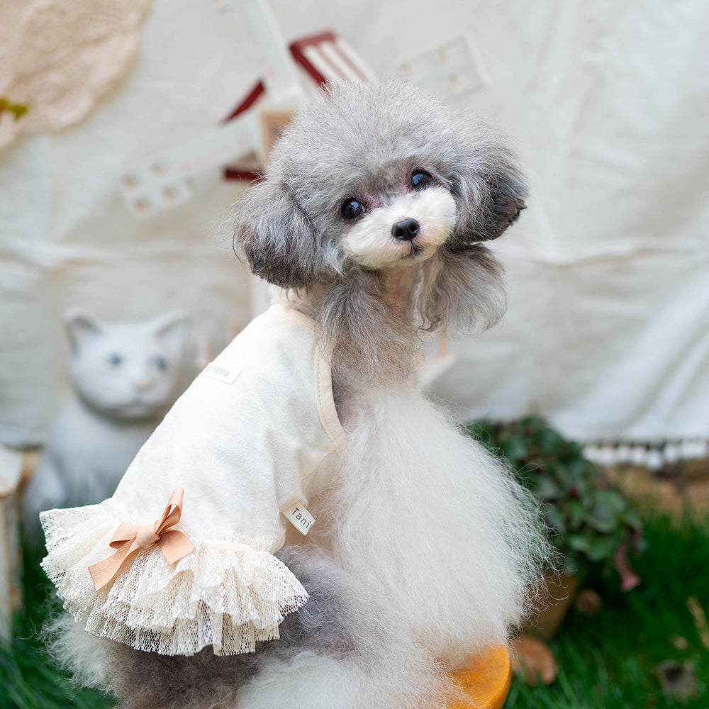 タニウィナのペットの服星の綿のプリンセスサスペンダースカートのための小さな犬の服