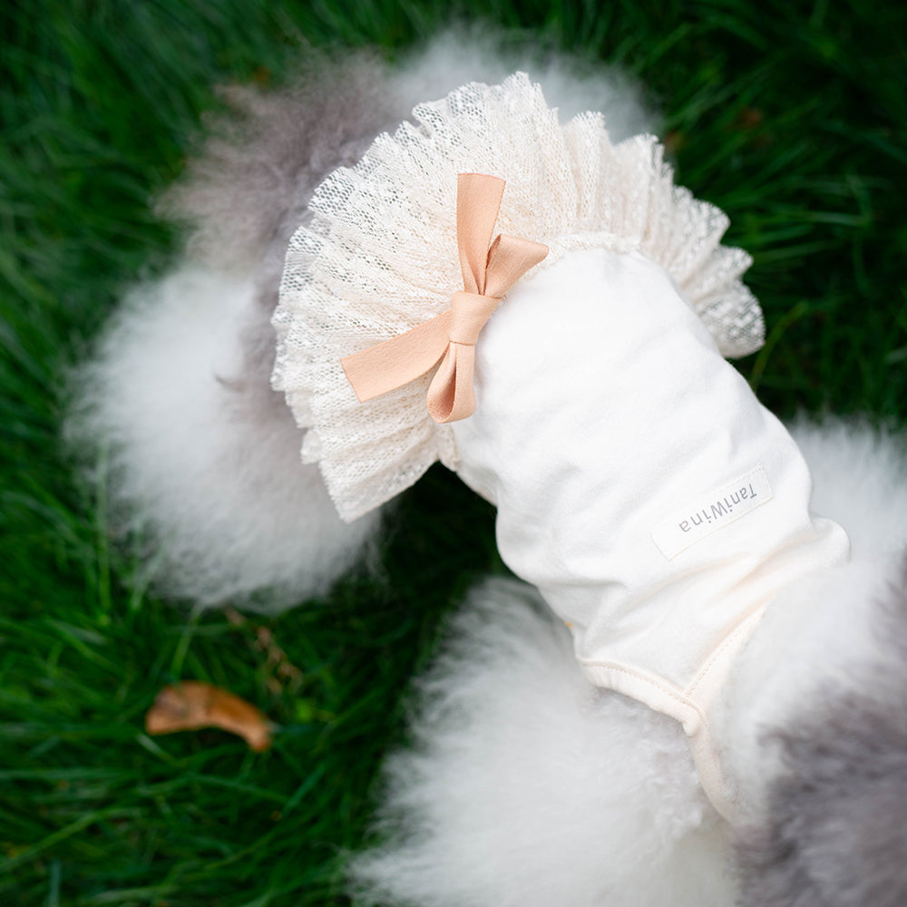 タニウィナのペットの服星の綿のプリンセスサスペンダースカートのための小さな犬の服