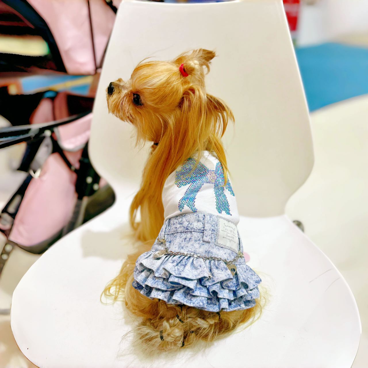 작은 개를위한 Taniwina Bling Ribbon Rhinestone 데님 스커트