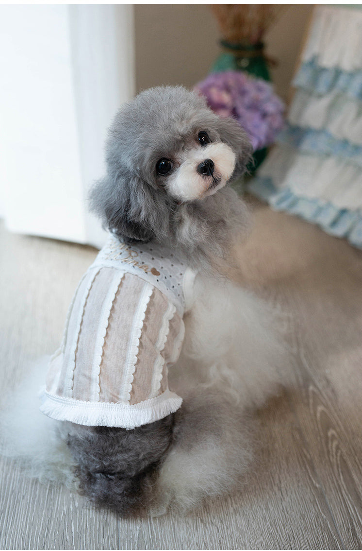 タニウィナファッショナブルな毛皮のフリンジ：小さな犬用のペットフリンジベスト