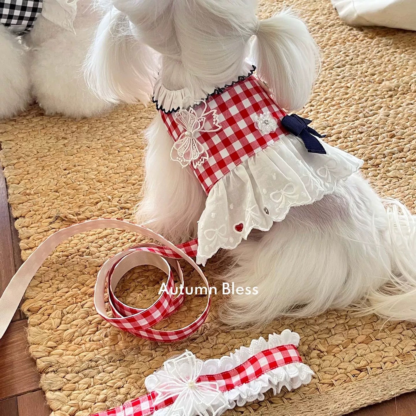 Autumn Bless フローラルチェックレースハーネス | Floral Checkered Lace Harness