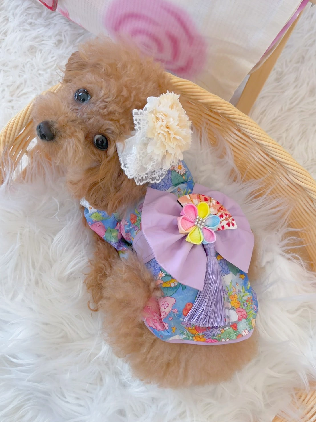 작은 개를위한 Taniwina Hydrangea Pattern Yukata