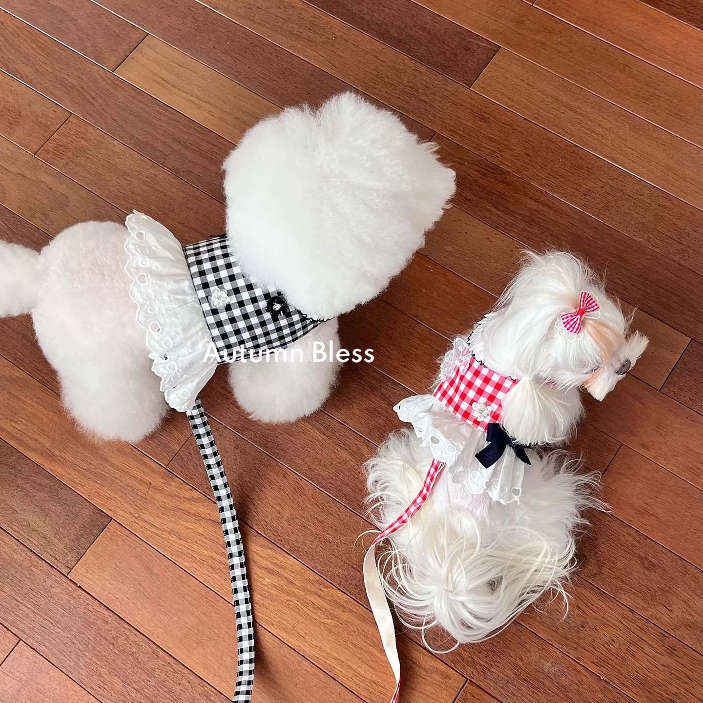 Autumn Bless フローラルチェックレースハーネス | Floral Checkered Lace Harness