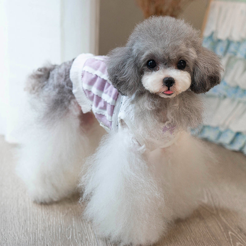 タニウィナファッショナブルな毛皮のフリンジ：小さな犬用のペットフリンジベスト