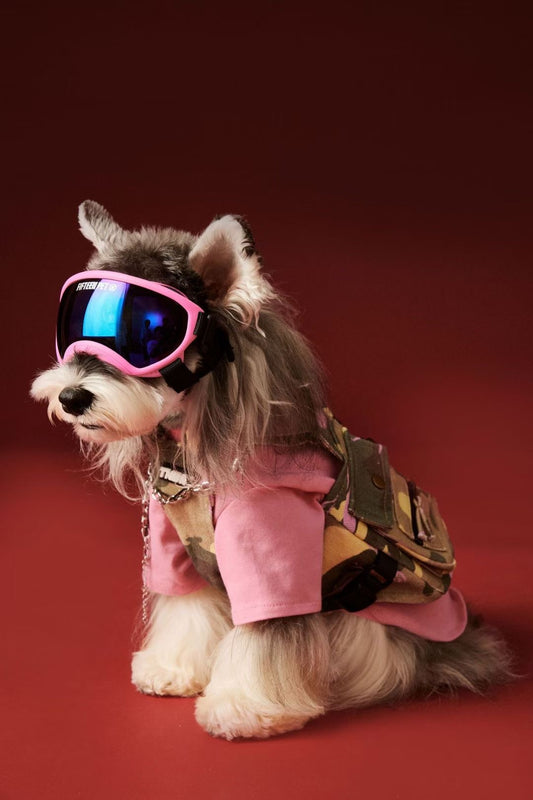 Tactical Camouflage Harness Vest with Leash Clip | Tawnew Bear