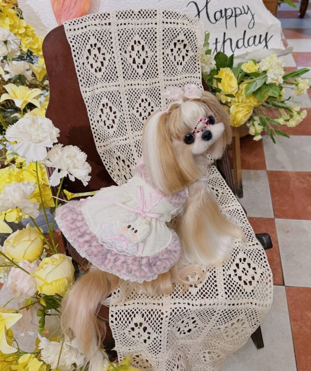 Fancy House  Doll Lace Ribbon Dress