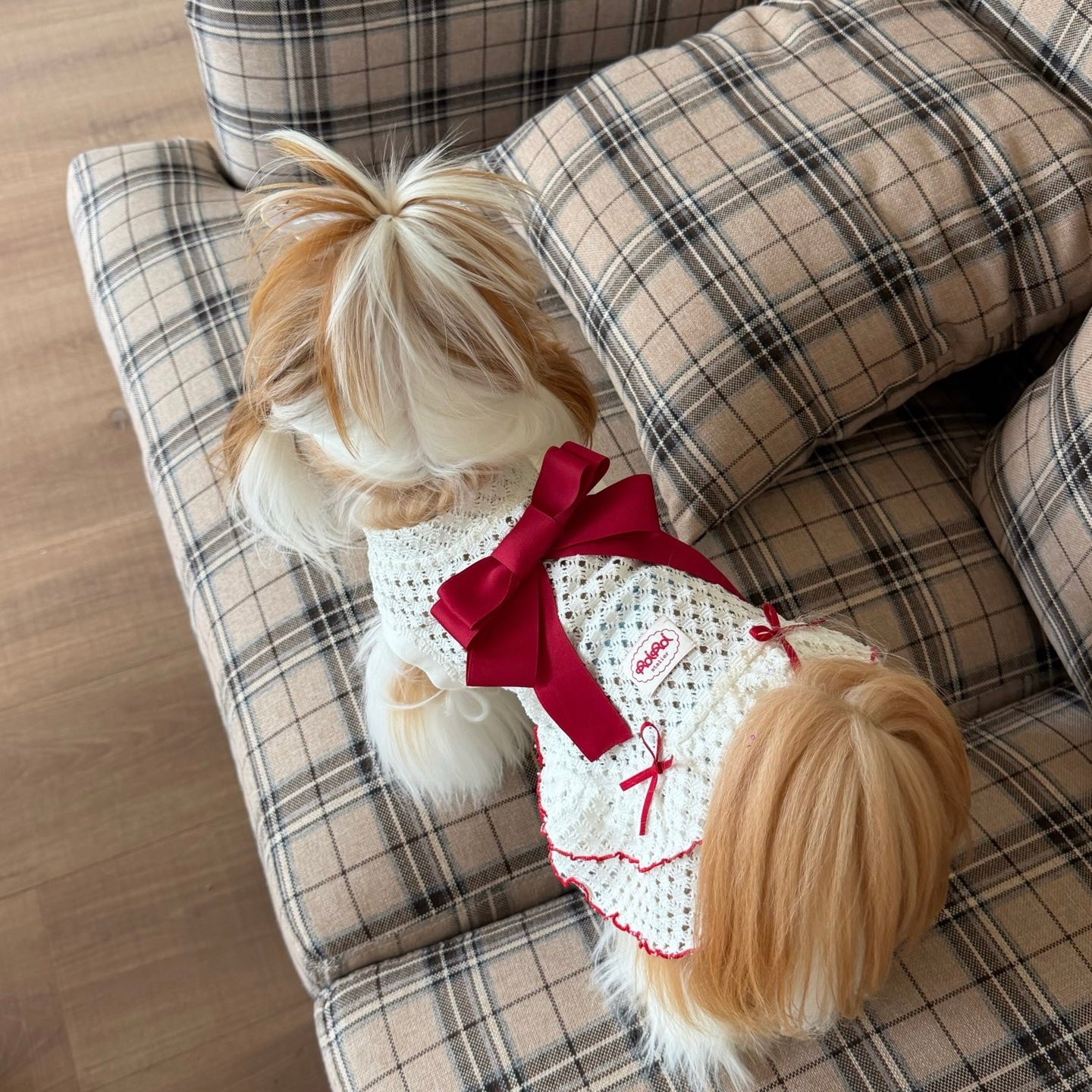 RoiRoi Crimson Ribbon Lace-Ruffle Pet Dress