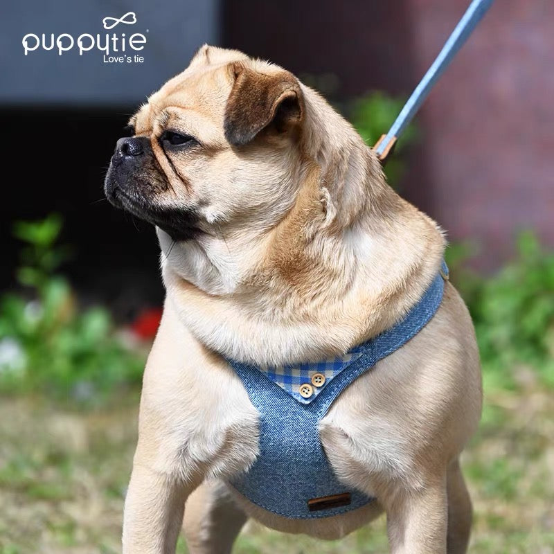 Puppytie Dog Leashベストスタイルのハーネス、小型犬用の調整可能なペットリーシュ、テディ、かわいいペット用品