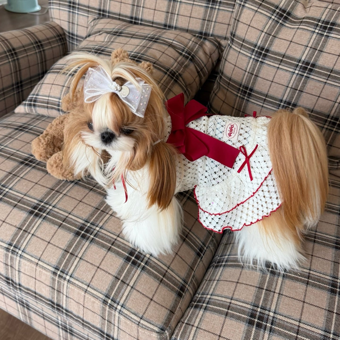 RoiRoi Crimson Ribbon Lace-Ruffle Pet Dress