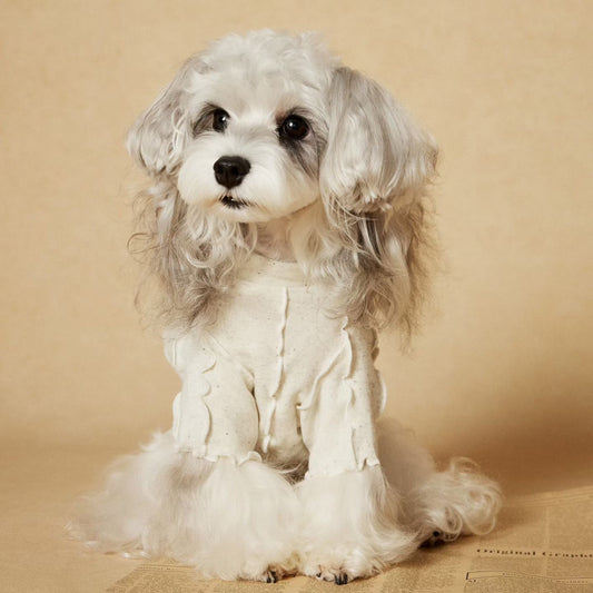 Tawney Bear Ruffled Turtleneck Dog Top
