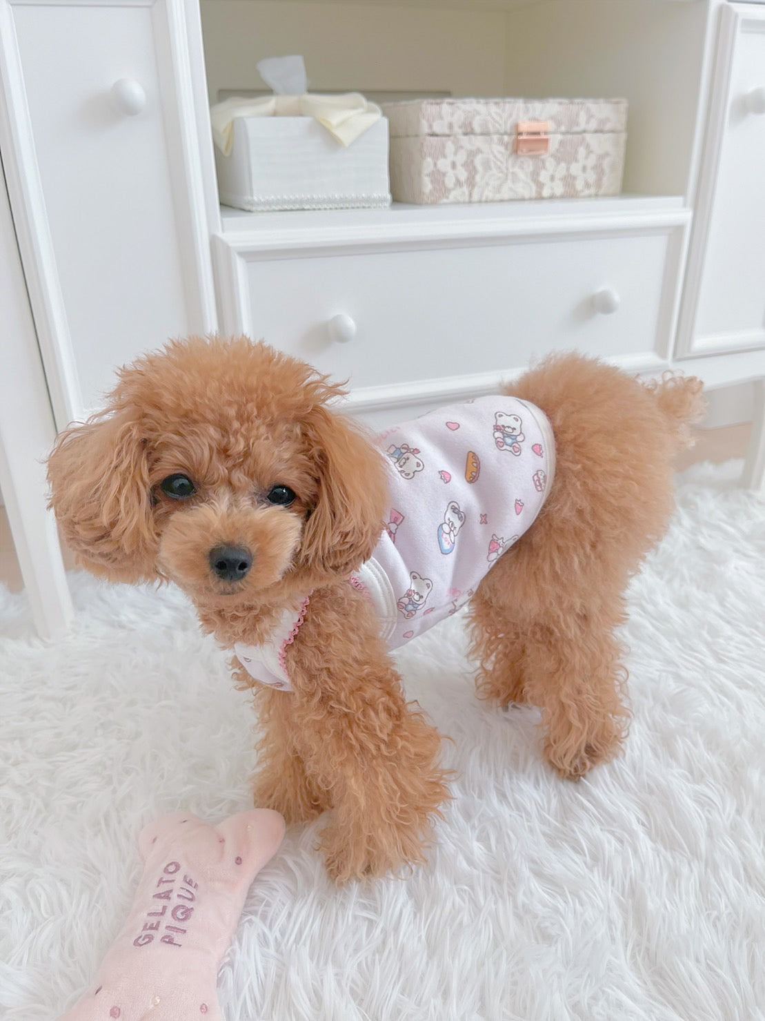 궁극적 인 가정 편안