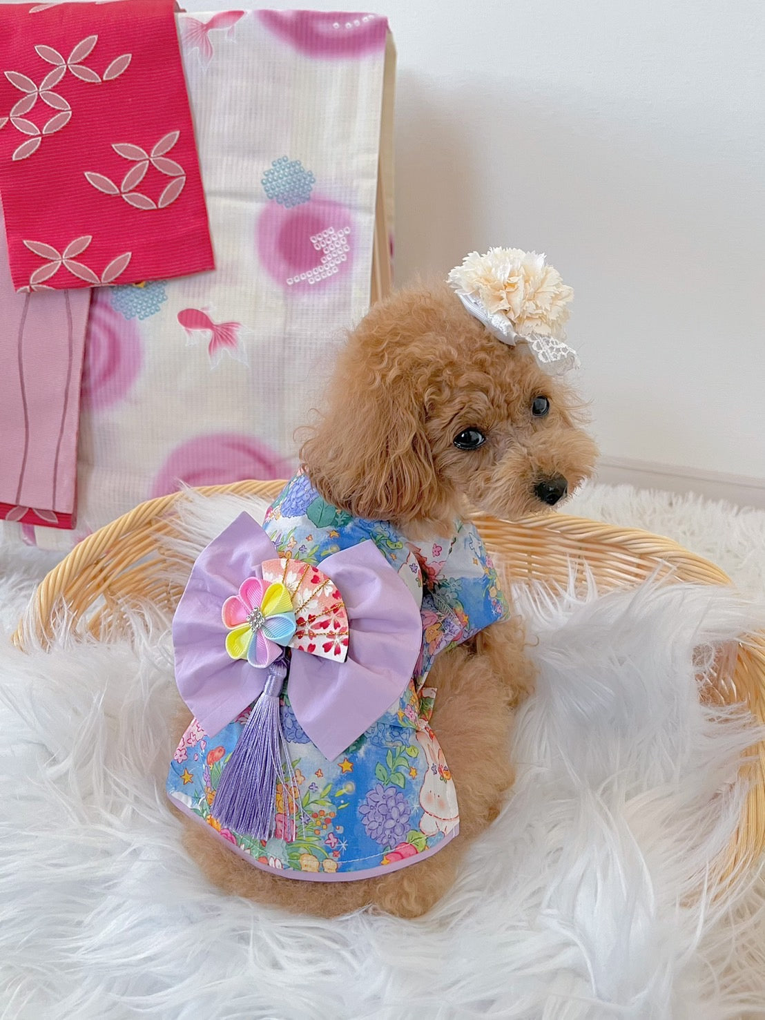 작은 개를위한 Taniwina Hydrangea Pattern Yukata