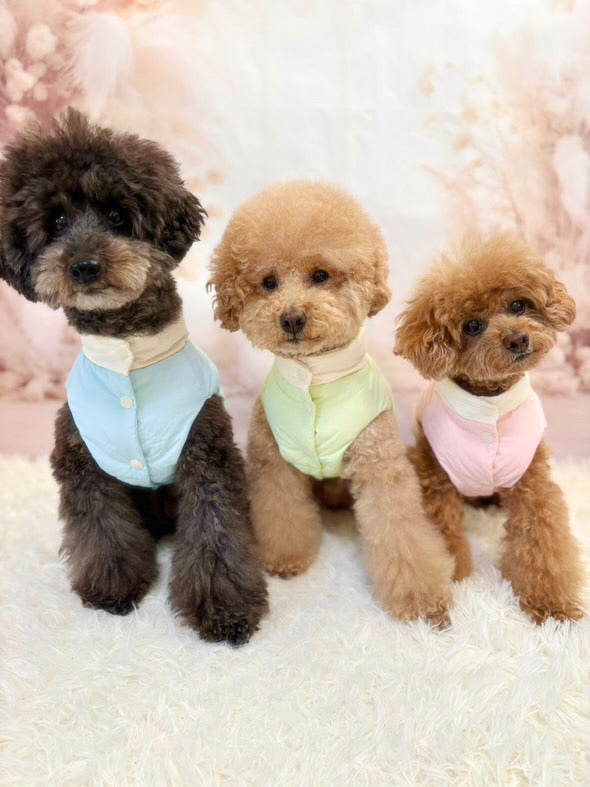 taniwina peek-a-bood with d-ring with small dogs