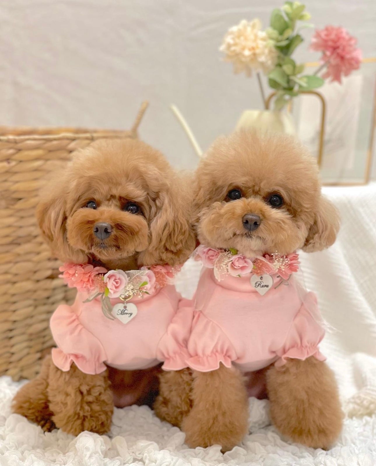 Soft Pink Puff Sleeve Pet Shirt with Embroidered Details