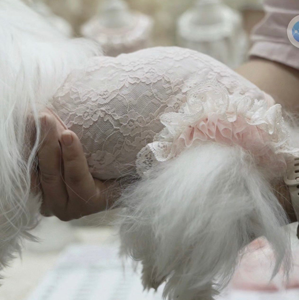 TaniWina Pearl Lace Elegant Romper