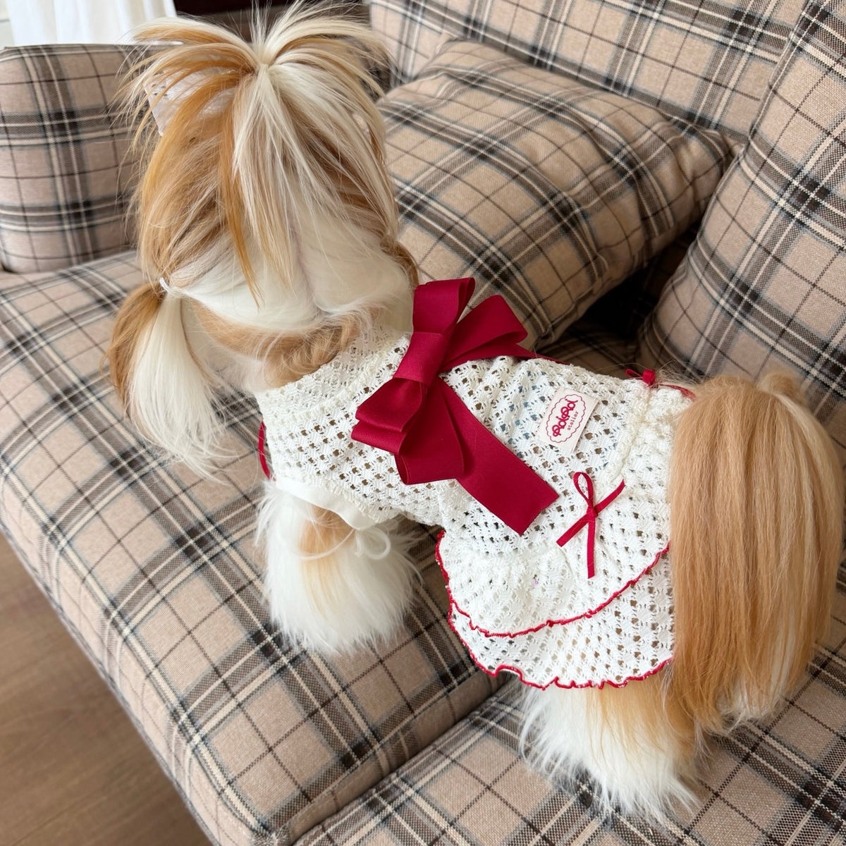 RoiRoi Crimson Ribbon Lace-Ruffle Pet Dress