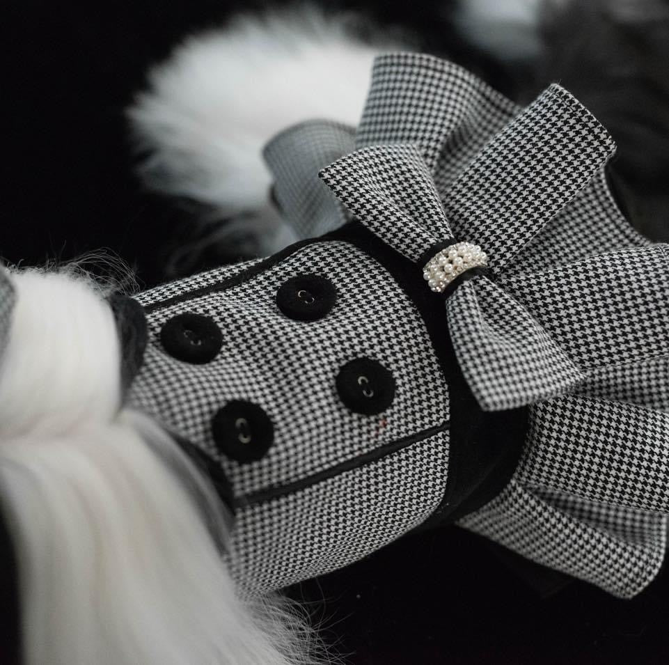 Taniwina Elegant Houndstooth 커플 세트-영국에서 영감을 얻은 할로윈 및 작은 개를위한 겨울 패션