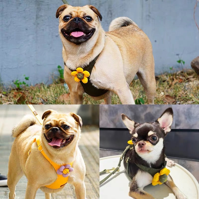 Puppytieフラワーペットハーネス＆リードセット – 引っ張り防止・調節可能、小型犬＆猫用| Flower Pet Harness & Leash Set – No-Pull, Adjustable for Small Dogs & Cats