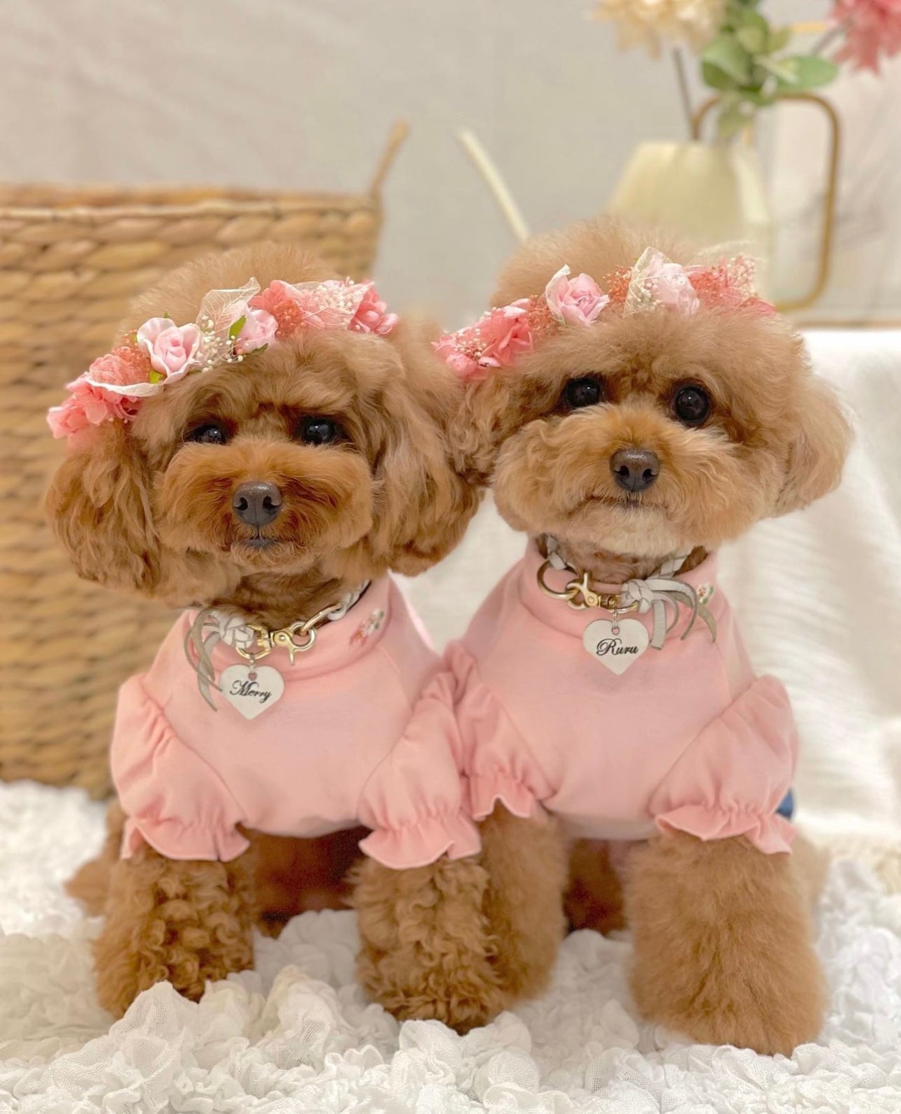 Soft Pink Puff Sleeve Pet Shirt with Embroidered Details