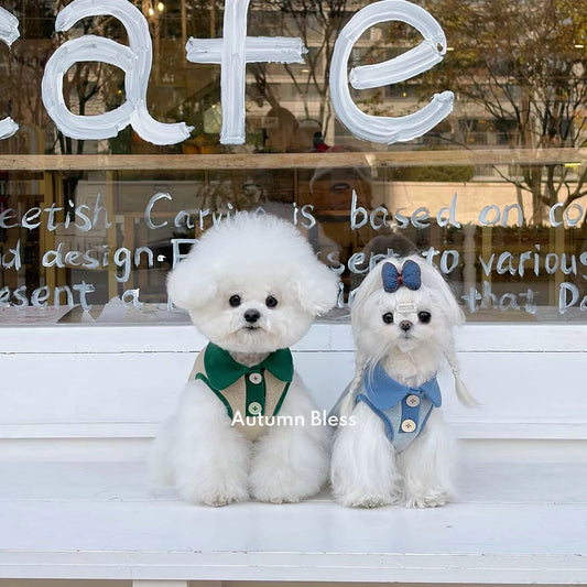 Autumn Bless やわらかウール調 ボンディングニット | Soft Wool-Blend Bonded Knit Sweater