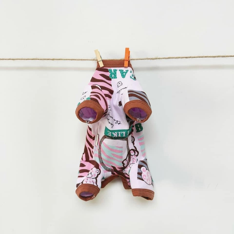 Taniwina Jungle Pawsアドベンチャーワンシー