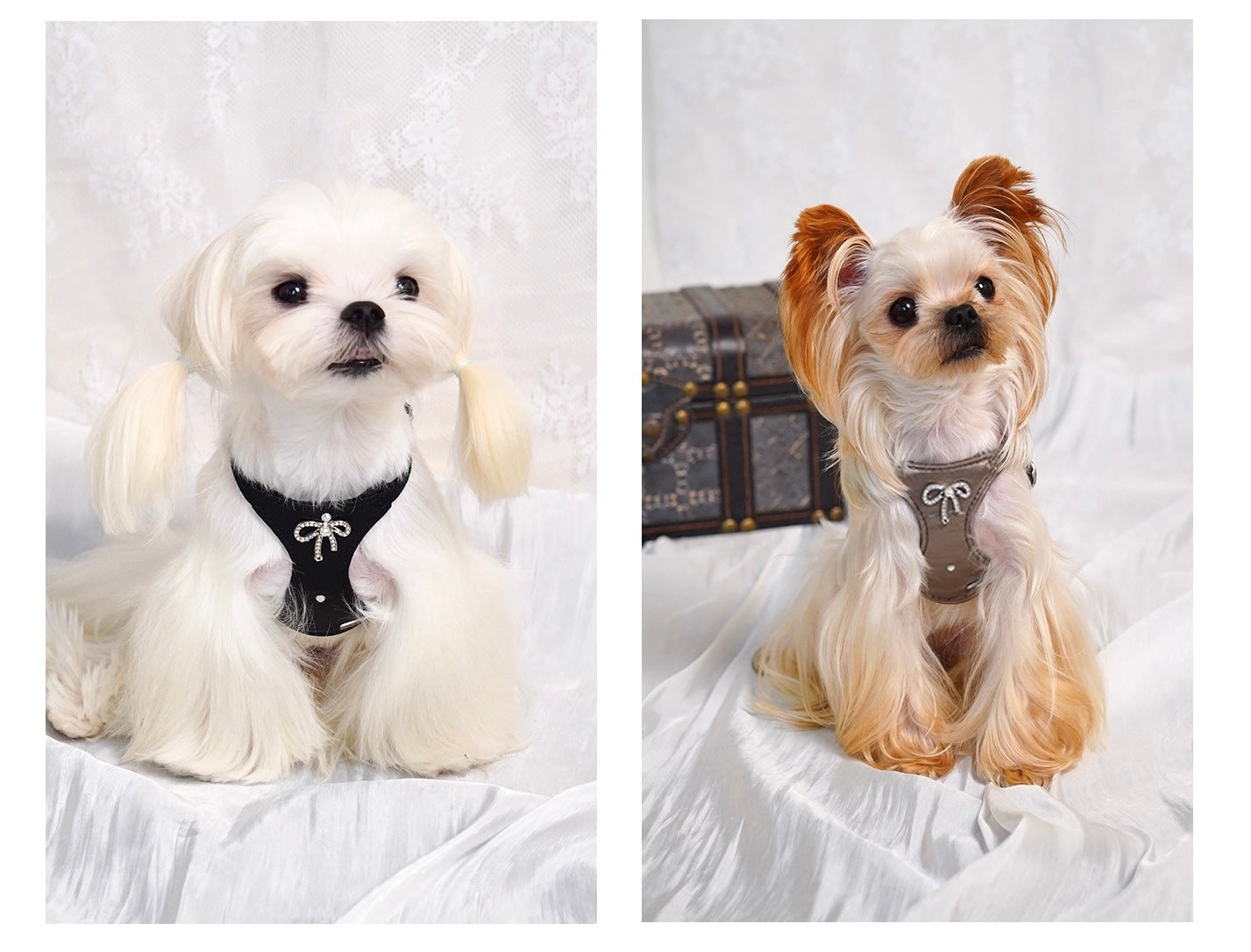 Puppytie猫・犬用ベスト型ハーネス（リボン付き） – お出かけ用ペットリード、首に負担をかけないタイプ| Bowknot Vest-Style Harness for Cats & Dogs – Pet Leash for Outings, No Pull on Neck