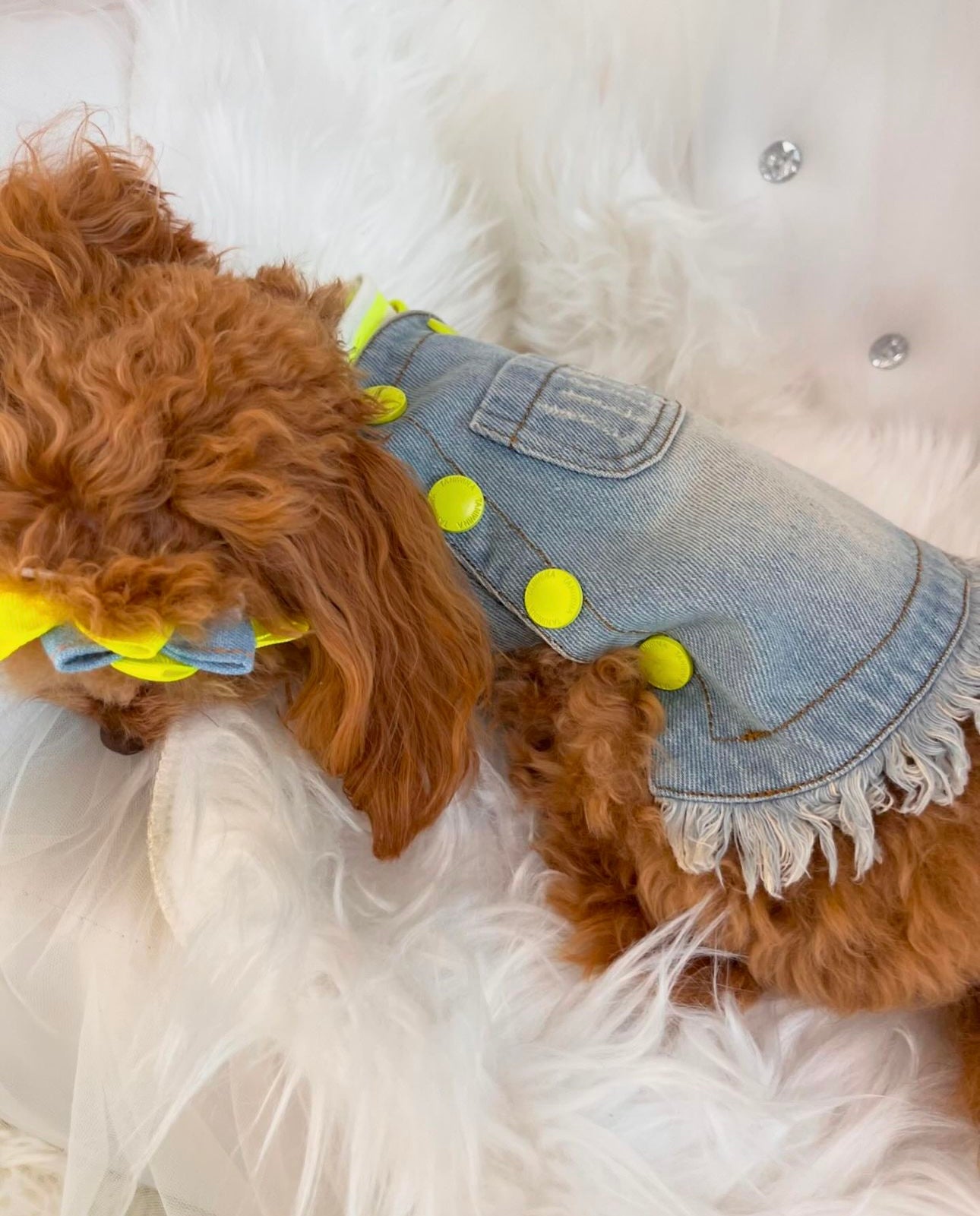 taniwina 형광성 fido denim 드레스 애완 동물 옷을위한 애완 동물 옷
