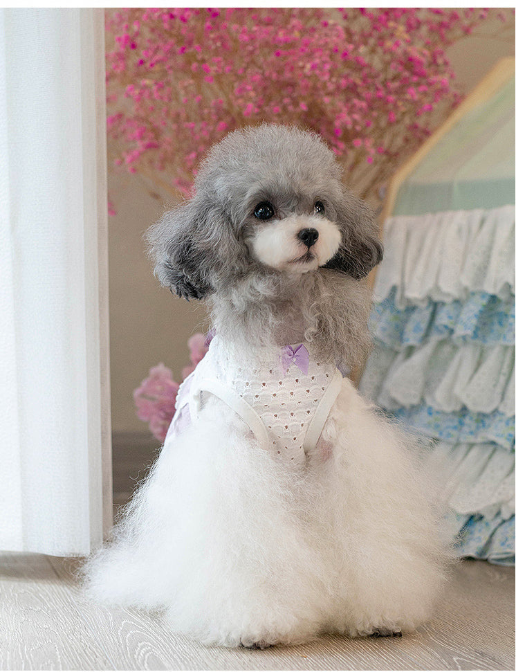 タニウィナファッショナブルな毛皮のフリンジ：小さな犬用のペットフリンジベスト
