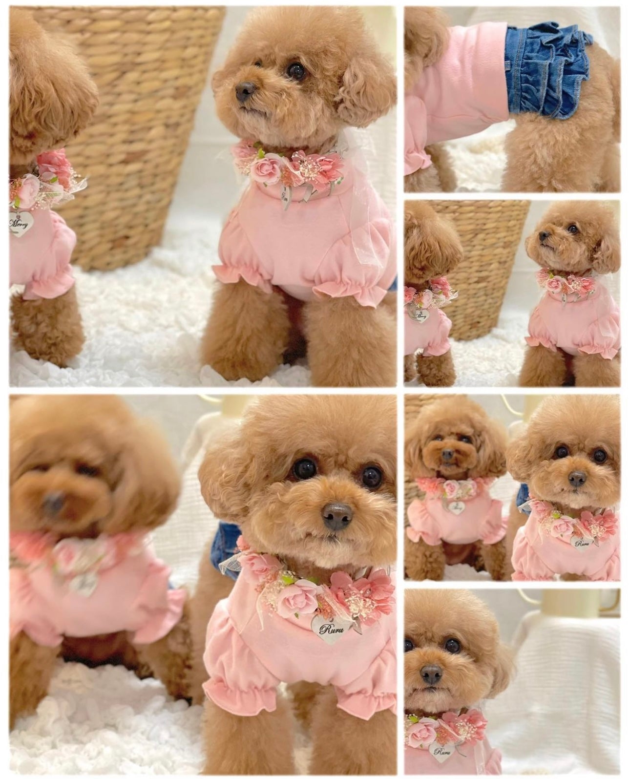 Soft Pink Puff Sleeve Pet Shirt with Embroidered Details