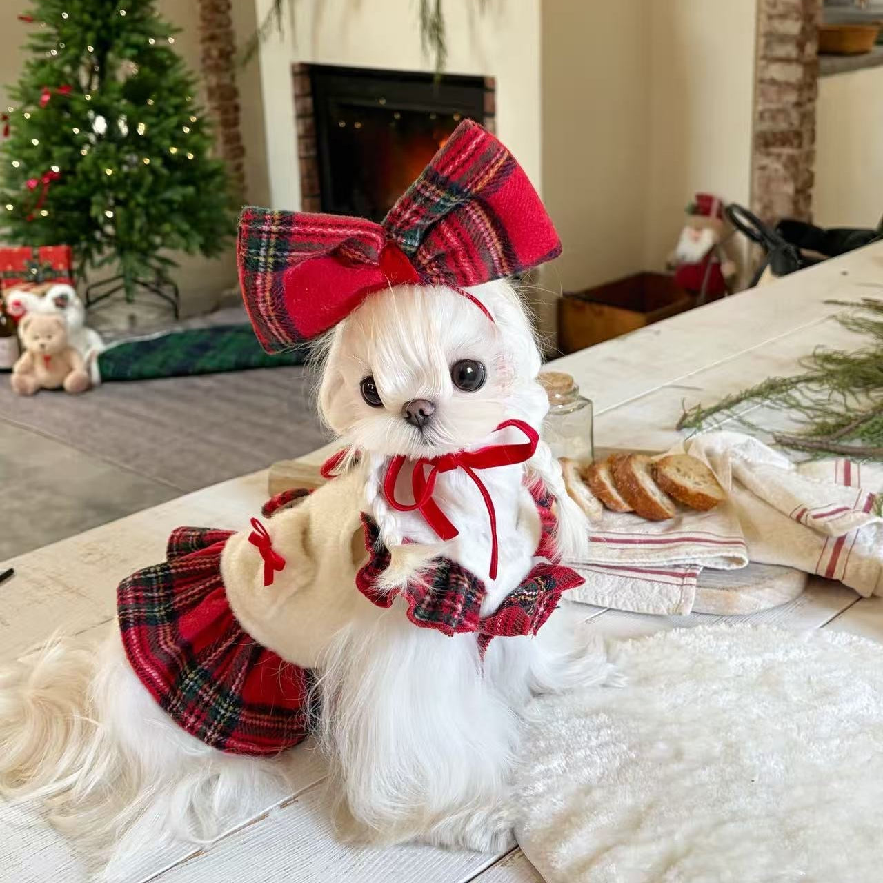 Autumn Bless メリー ベリー クリスマス アンサンブル | MerryBerry Christmas Ensemble