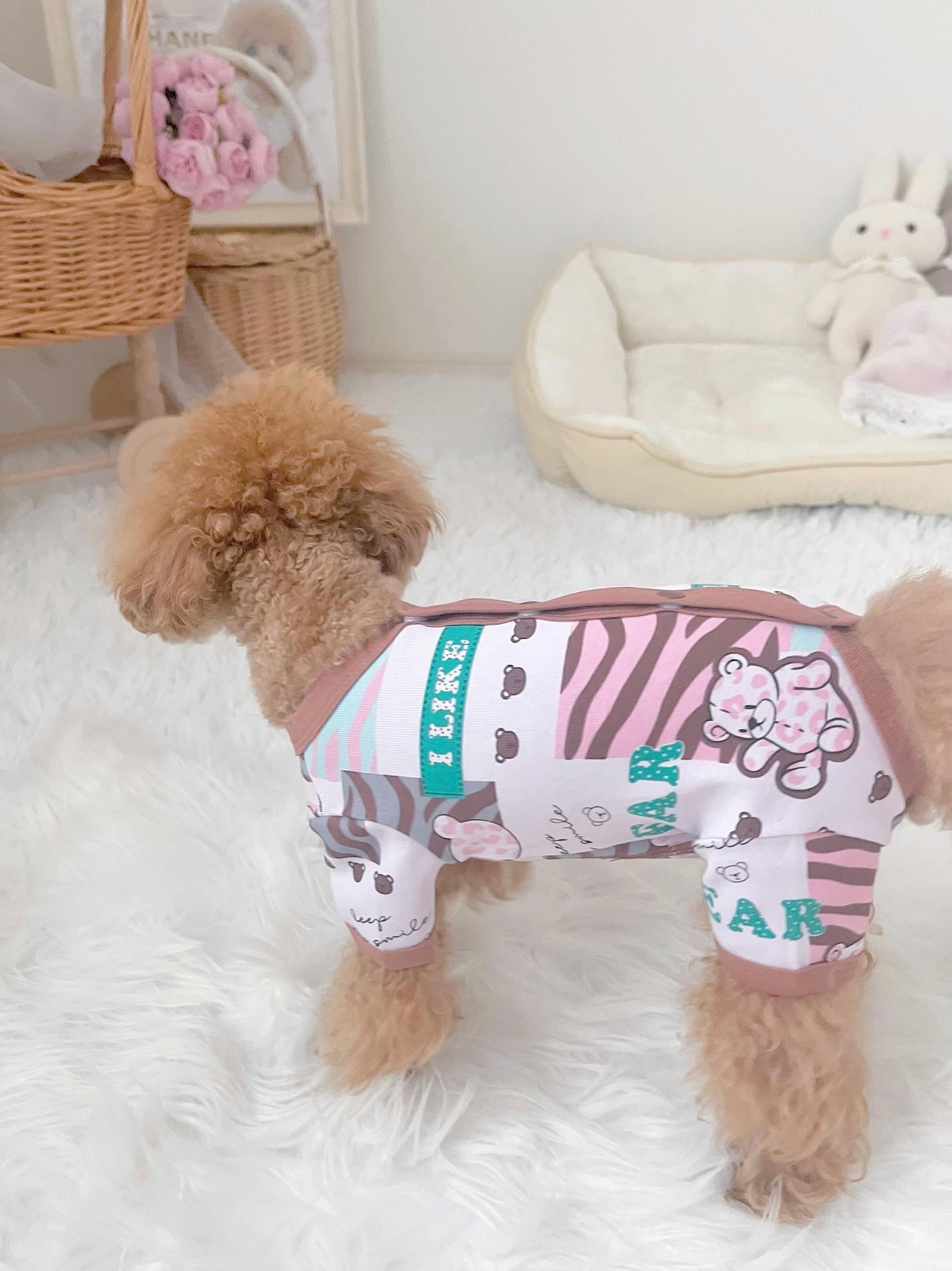 Taniwina Jungle Pawsアドベンチャーワンシー