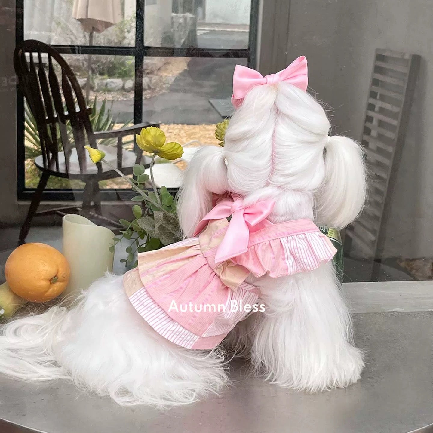 Autumn Bless ストライプリボンドレス（単品・ヘアアクセセット）| Striped Ribbon Dress (Single or with Hair Clip Set)