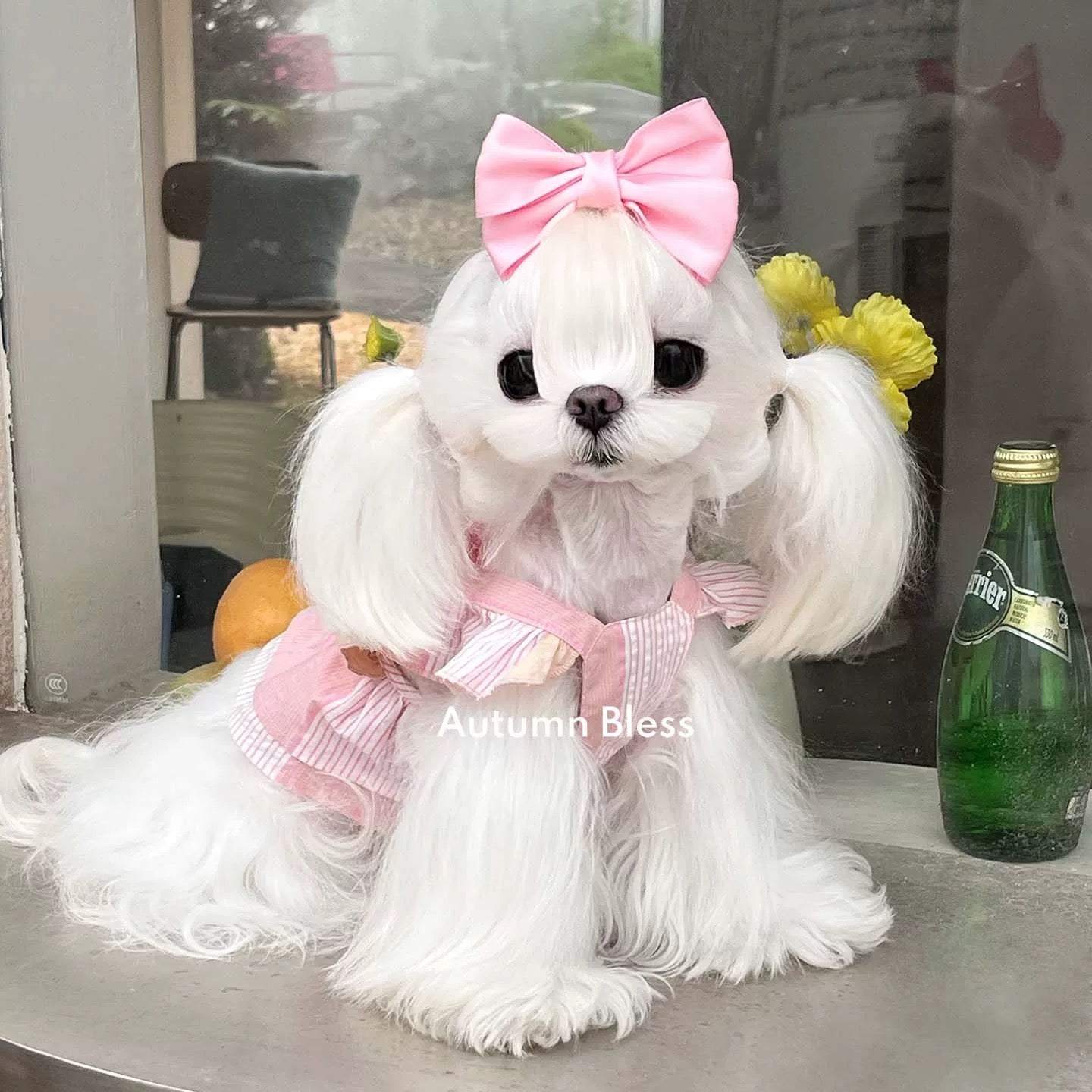 Autumn Bless ストライプリボンドレス（単品・ヘアアクセセット）| Striped Ribbon Dress (Single or with Hair Clip Set)