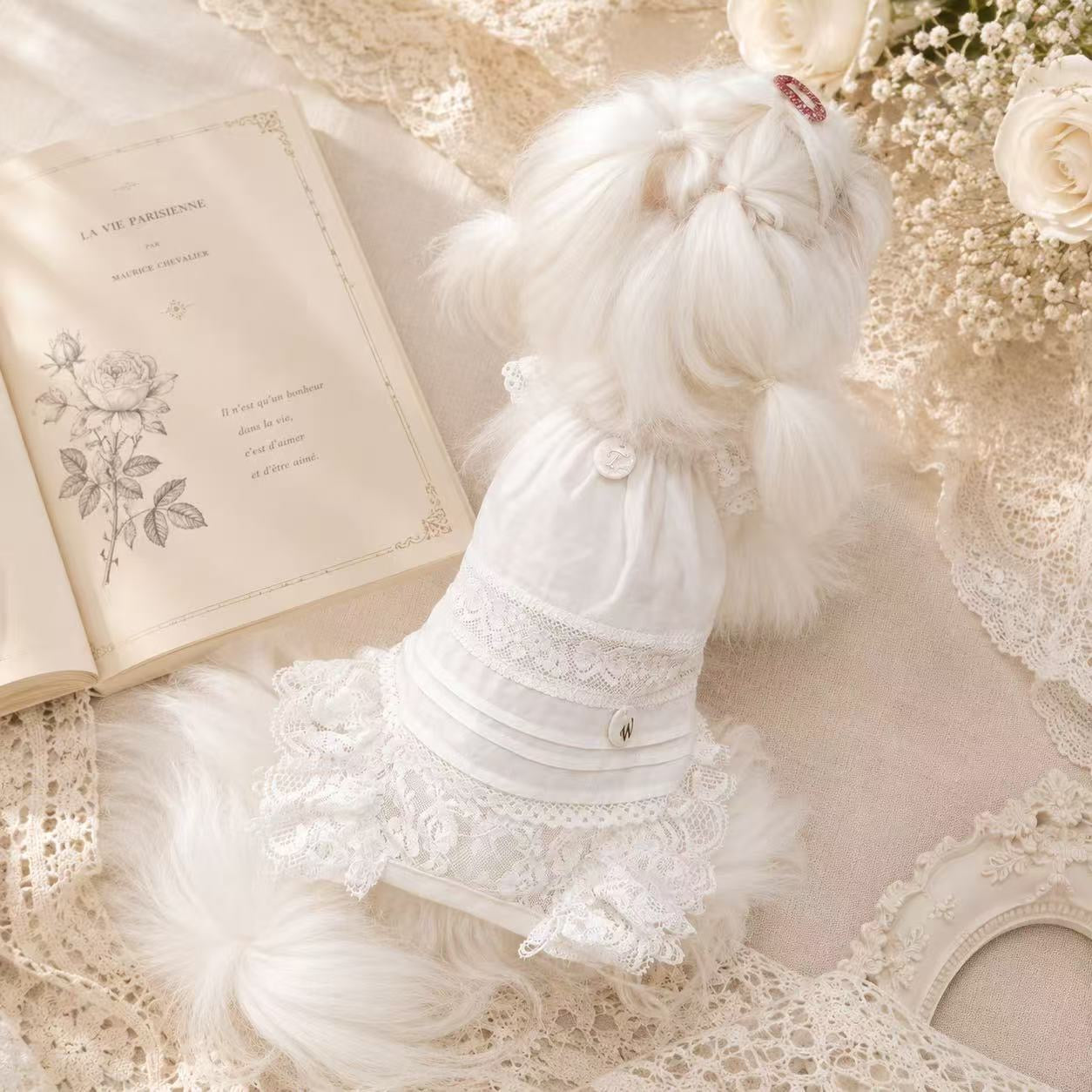 TaniWina Lace Blossom Princess Shirt