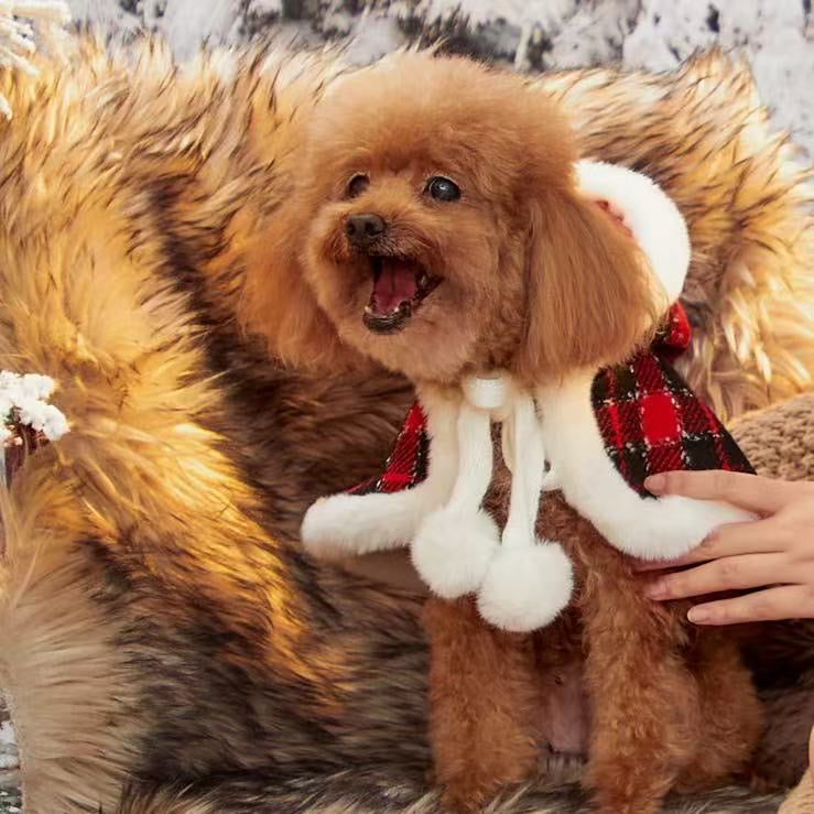 メリーチェック柄リバーシブルペットマント | 小型犬用クリスマス