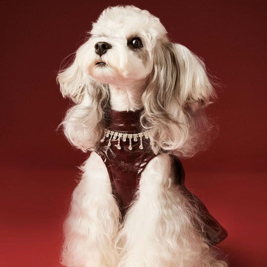 Tawney Bear  Autumn Chic Sleeveless Faux Leather Pet Dress