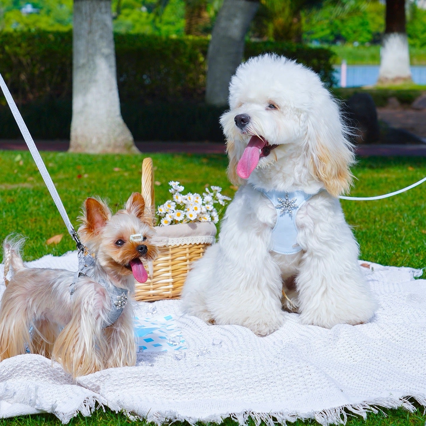 Puppytie 犬猫用ハーネス＆リードセット｜夏に涼しい通気性ペットベスト｜Snowflake Fairy Dog & Cat Harness with Leash | Breathable Summer Pet Vest for Small Dogs & Cats