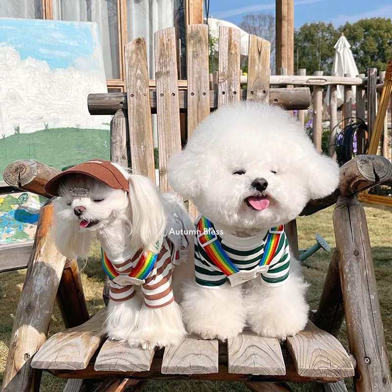 Autumn Bless Rainbow Twill Harness with Fringed Hem