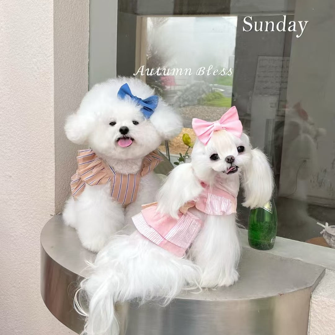 Autumn Bless ストライプリボンドレス（単品・ヘアアクセセット）| Striped Ribbon Dress (Single or with Hair Clip Set)