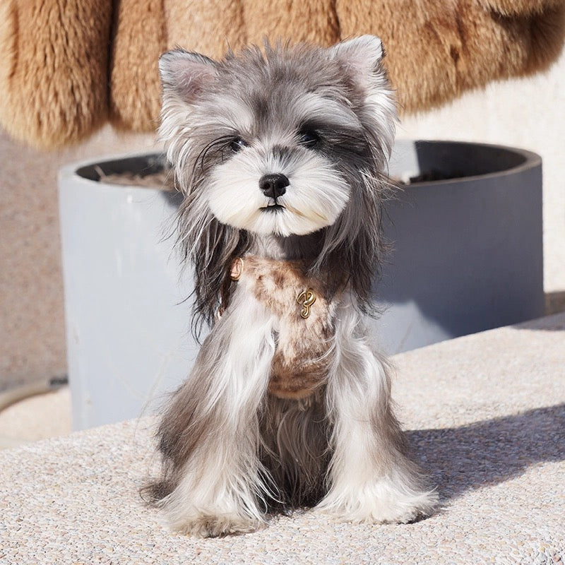 Puppytie 秋冬向け高級フリース素材 ペット用犬の散歩リード|Leopard Print Fleece Dog & Cat Harness – Adjustable No-Pull Winter Vest for Small Pets