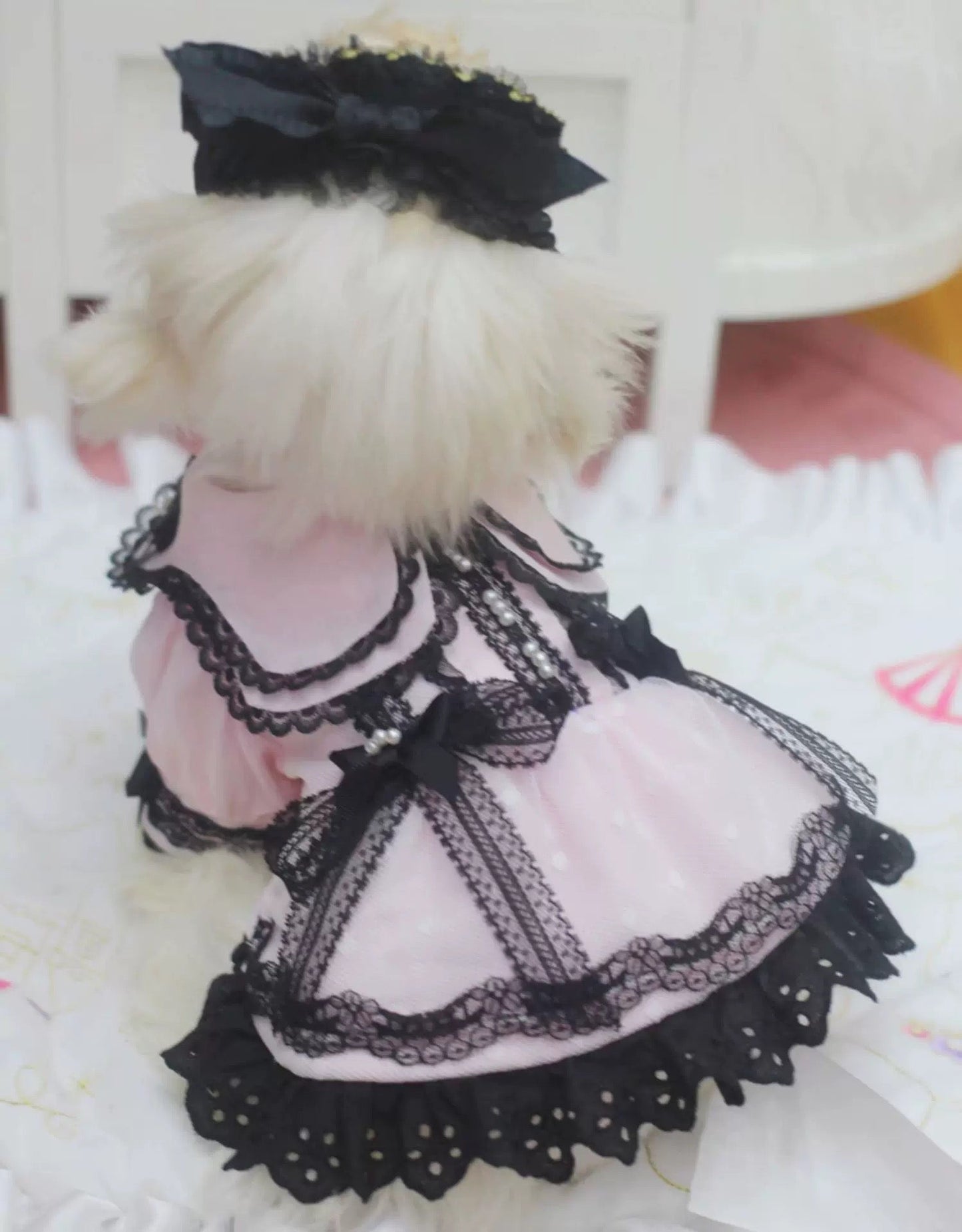 Elsamilu Gothic Romance Long Sleeve Pet Dress – Pink & Blue Lace Outfit for Small Dogs & Cats