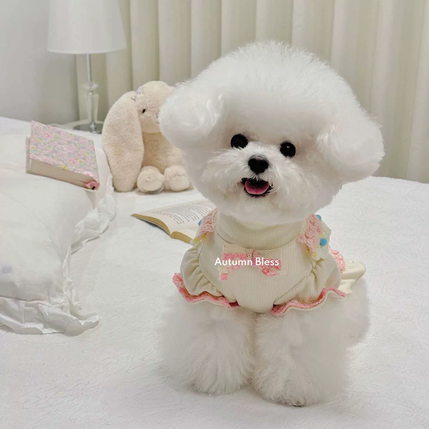 Autumn Bless パステルケーキフリルニットワンピース | Pastel Cake Frill Knit Dress