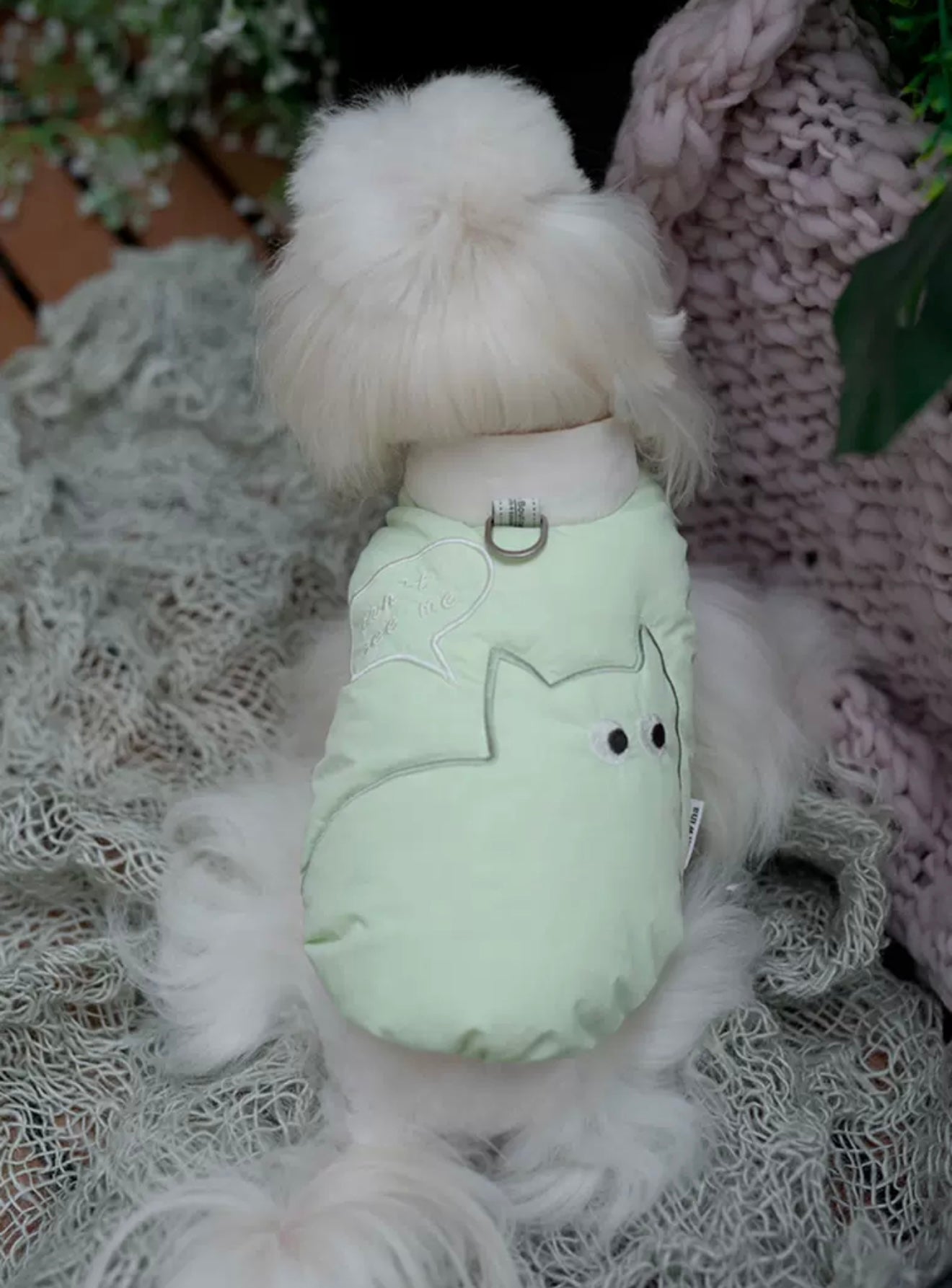taniwina peek-a-bood with d-ring with small dogs