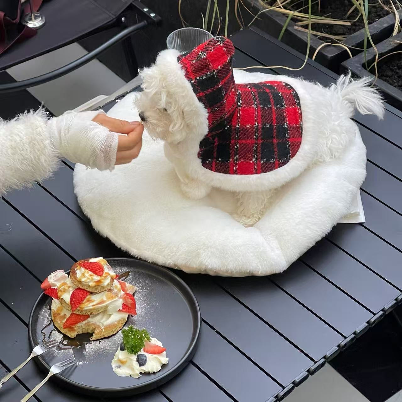 Autumn Bless メリーチェック柄リバーシブルペットマント | Merry Tartan Reversible Pet Cloak