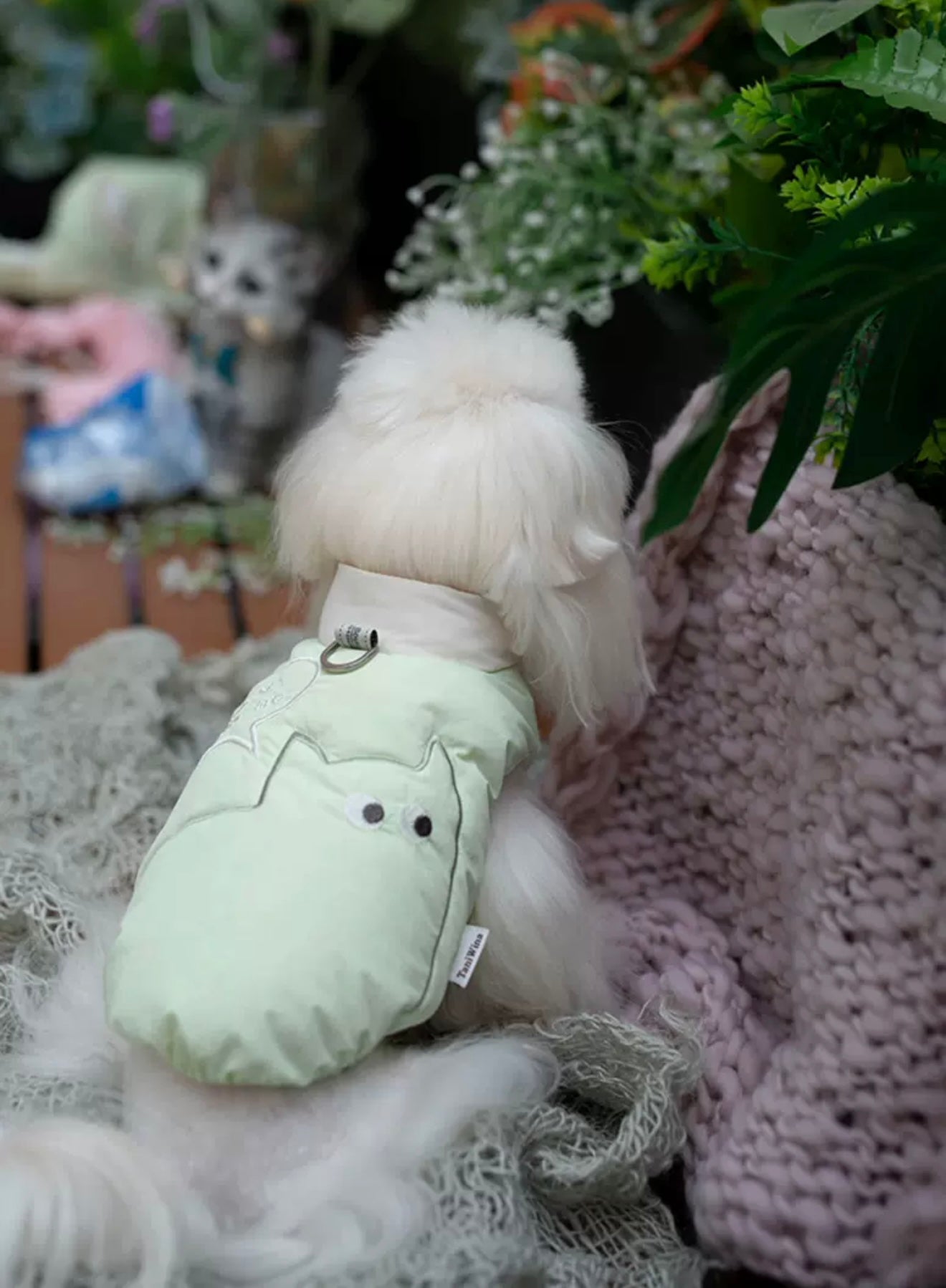 taniwina peek-a-bood with d-ring with small dogs