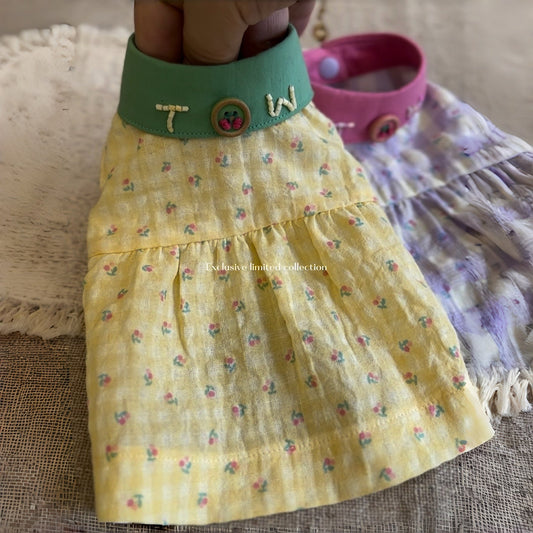 TaniWina Color Pop Little Car Shirt – Limited Edition