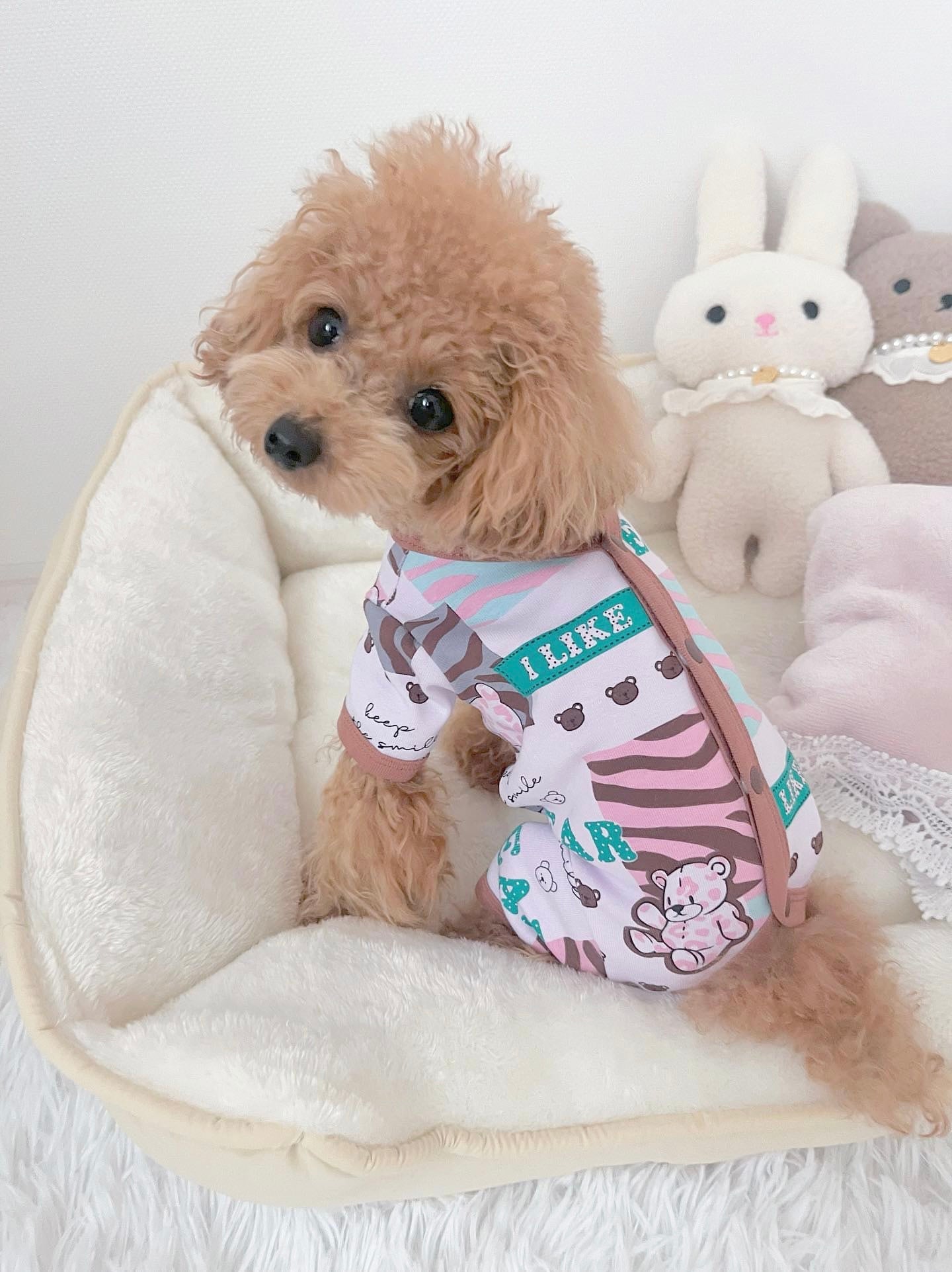 Taniwina Jungle Pawsアドベンチャーワンシー