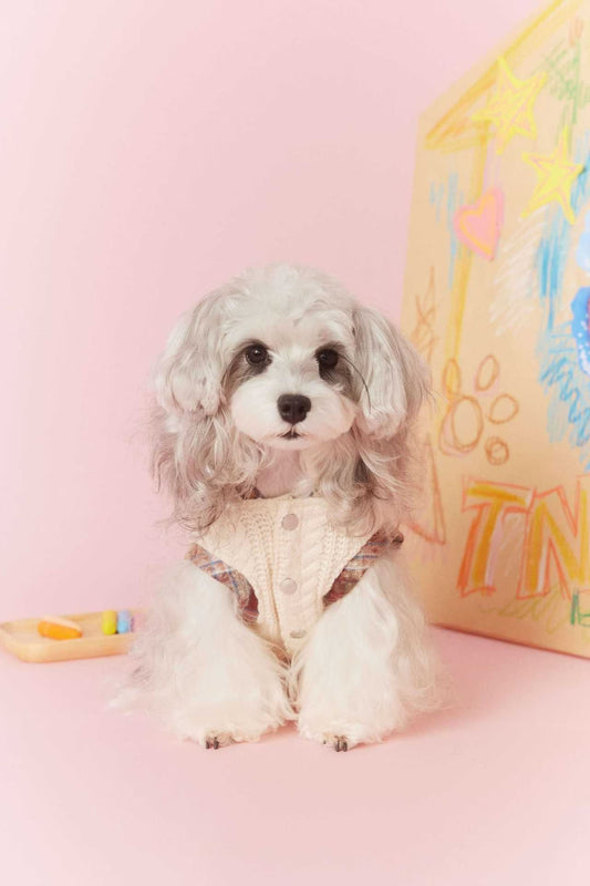 Tawney Bear Knit & Plaid One-Piece Dress for Small Dogs