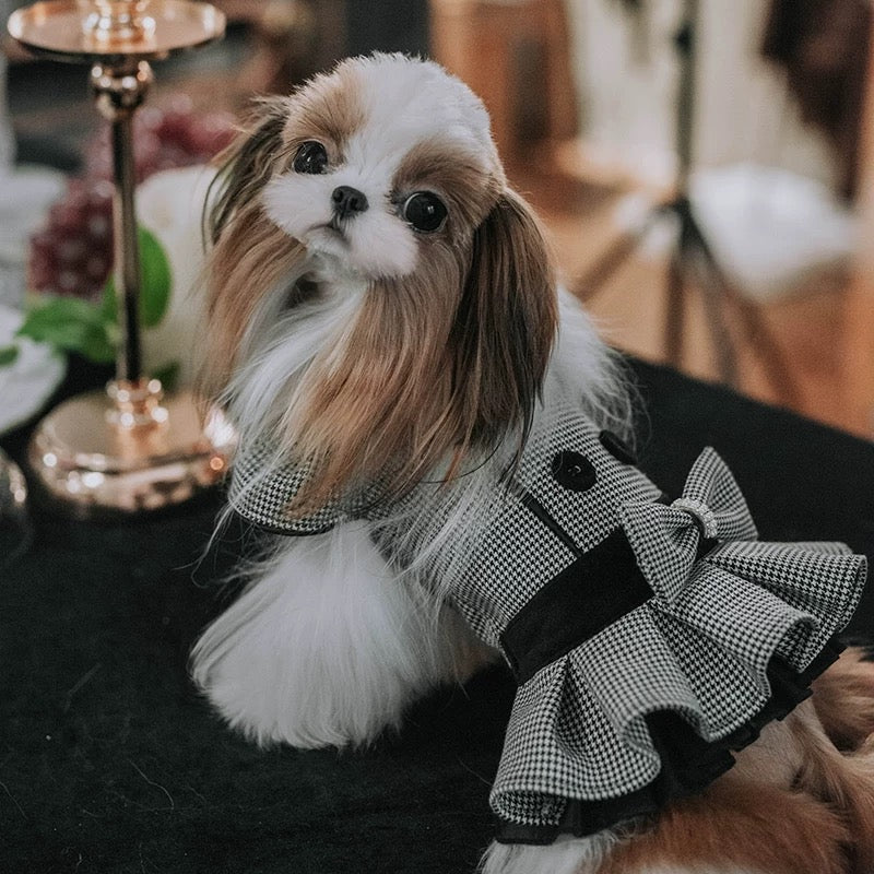 Taniwina Elegant Houndstooth 커플 세트-영국에서 영감을 얻은 할로윈 및 작은 개를위한 겨울 패션